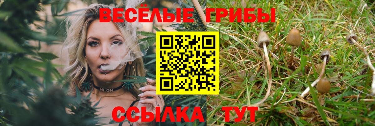 Псилоцибиновые грибы MAGIC MUSHROOMS Железноводск