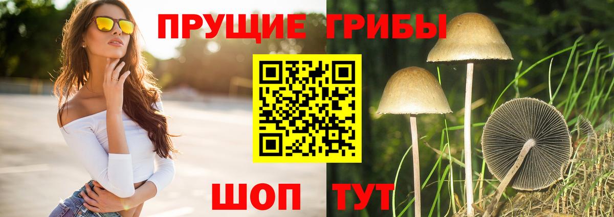 Железноводск  Галлюциногенные грибы прущие грибы  Вход с VPN  Галлюциногенные грибы GOLDEN TEACHER 